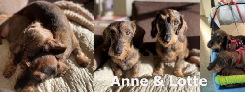 Anne & Lotte