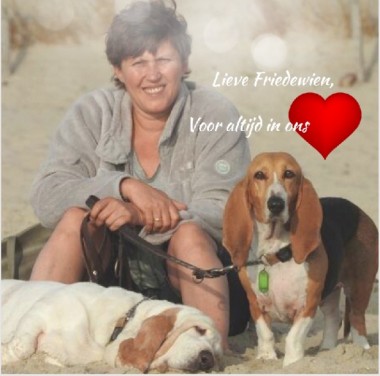 DGD kaart naar familie friedewien
