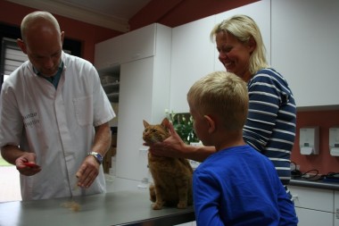 Graafschapdierenarts kat tekenstudie