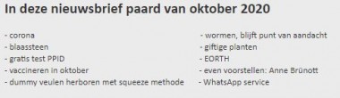 Nieuwsbrief paard 2020 okt